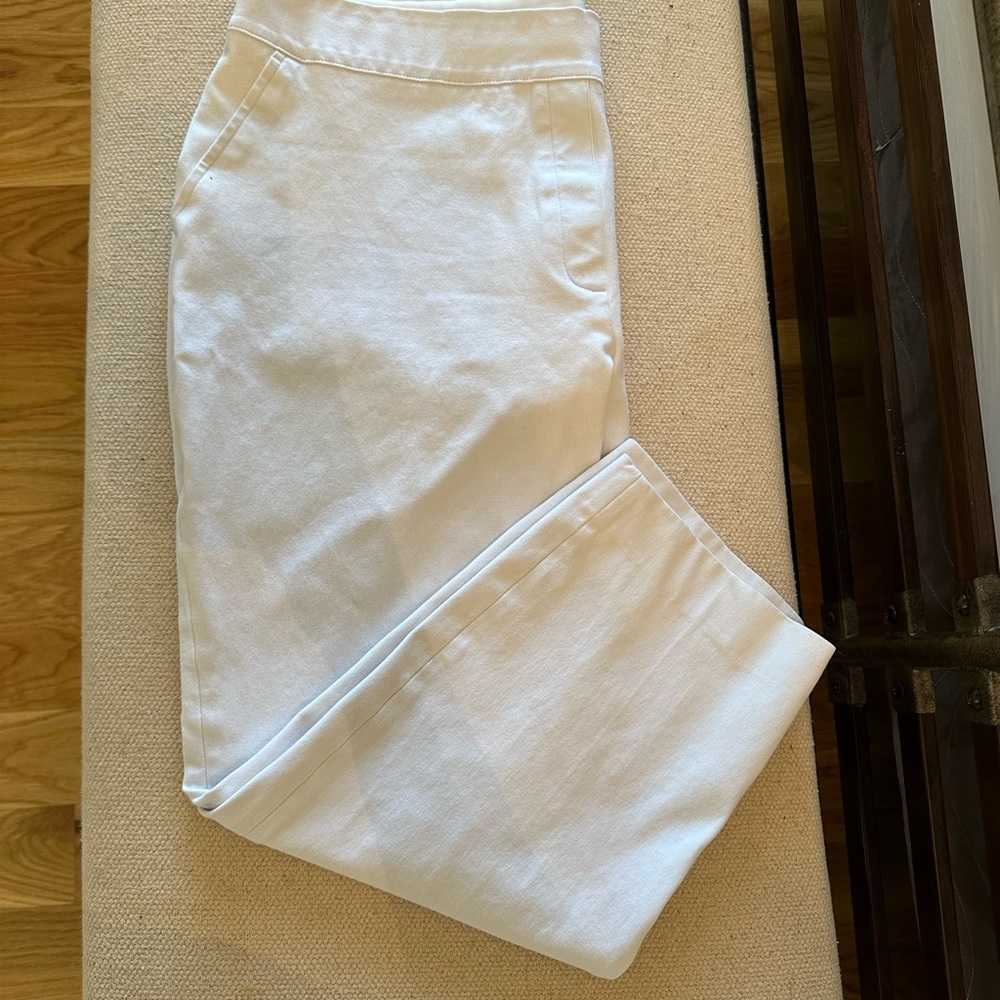 Spanx On-the-Go Slim Straight Ankle Pant Classic White Plus size 1X